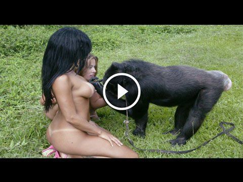 Naked men fucking gorillas free porn images
