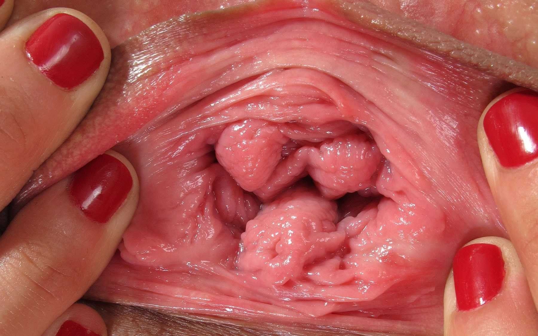 Inside pussy close up