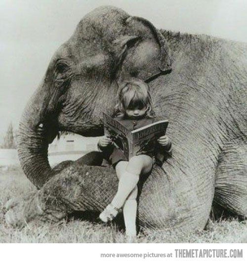 Elephant And Garl Xxx - Elephant xxx girl photos . Adult archive.